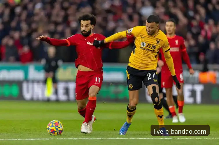 狼队vs利物浦：一场流畅的攻防转换与半岛体育平台的专业赛事分析体验对比